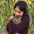 Ataşehir Kedi Tuvalet Kabı Modelleri